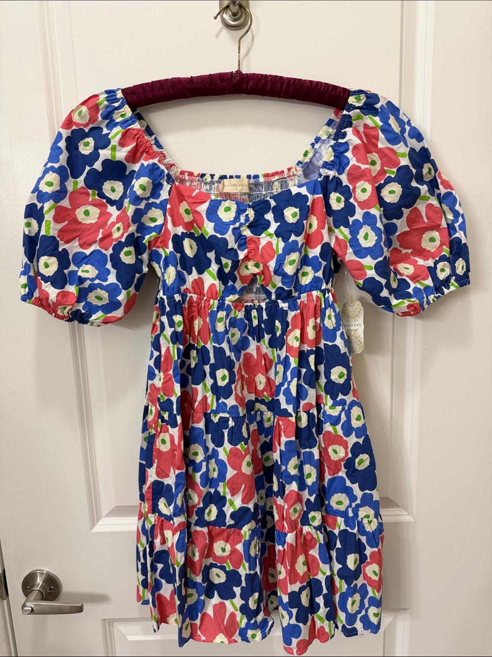 Altar'd State Blue, Pink & White Floral Puff-Sleeve Casual Dress